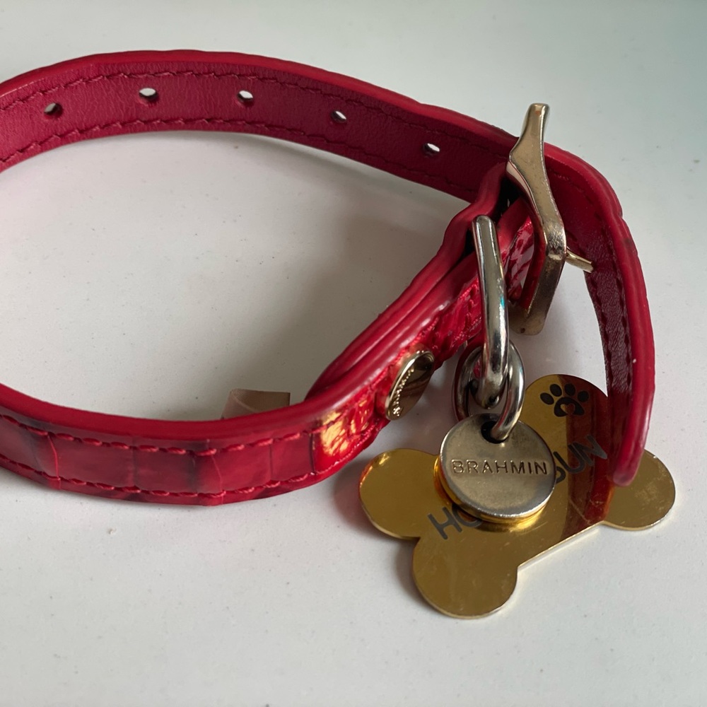 Brahmin Red leather collar, small dog or cat.
